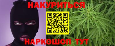 прущие крисы Нальчик