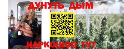 прущие крисы Нальчик