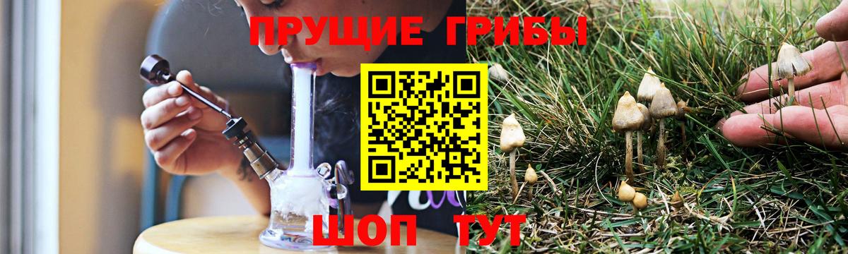 Галлюциногенные грибы Cubensis Чайковский