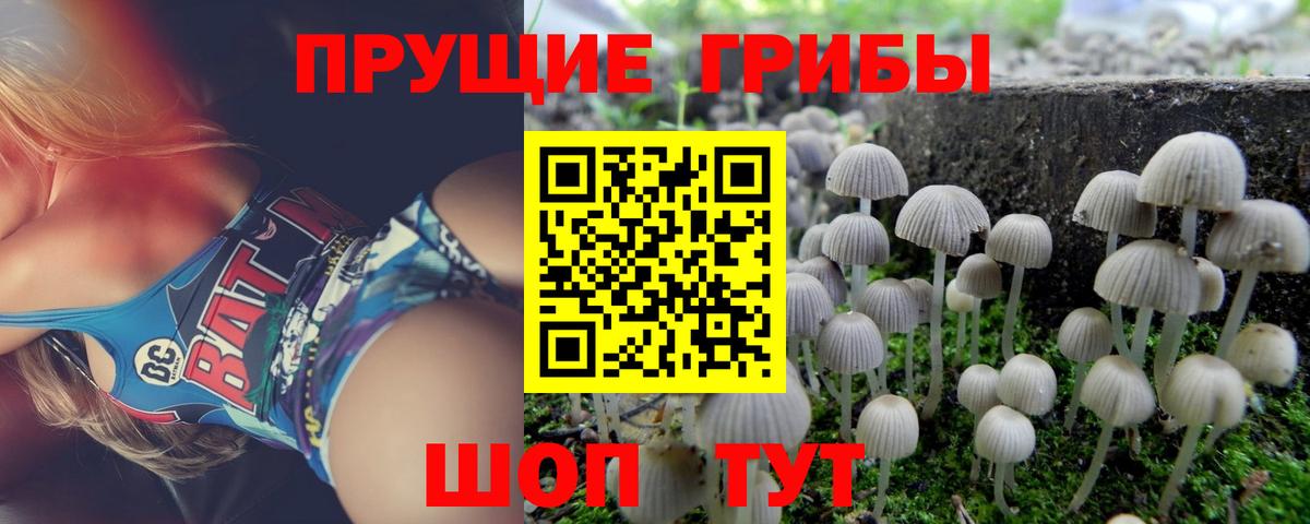 Псилоцибиновые грибы прущие грибы  Вход с VPN  Чайковский 